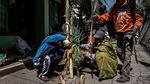 Melihat Ritual Kasada, Larung Sajen di Gunung Bromo