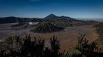 Melihat Ritual Kasada, Larung Sajen di Gunung Bromo