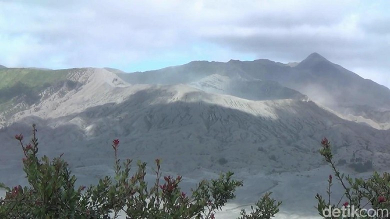 6 Fakta Gunung Bromo yang Alami Erupsi dan Imbauan untuk Wisatawan/Foto: Muhammad Aminudin 6 Fakta Gunung Bromo yang Alami Erupsi dan Imbauan untuk Wisatawan/Foto: Muhammad Aminudin