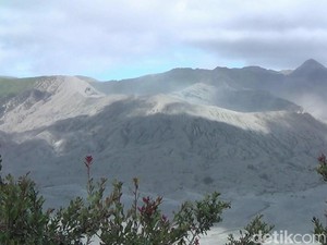 Apakah Gunung Bromo Masih Aktif? Ini Status Terbarunya