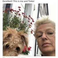 Sama-sama berambut jabrik dan berwarna pirang keemasan. Anjing memang bisa menjadi sahabat terbaik manusia. Foto: Twitter