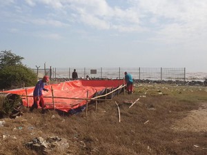 Pertamina Bersama Warga Bersihkan Pantai Sedari Karawang