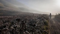 Yakin nggak tertarik mau mengunjungi keindahan Gunung Bromo?