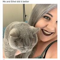 Warna rambut silver wanita ini sama persis dengan kucingnya. Foto: Twitter