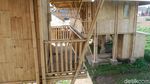 Potret Homestay Ramah Lingkungan di Dieng