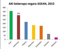 Biaya Bersalin Mahal Angka Kematian Ibu  RI Masih Tinggi 