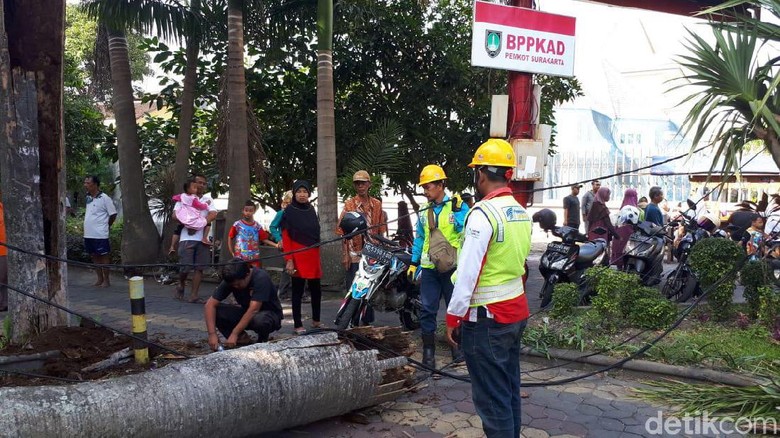 Ibu dan Bocah 1,5 Tahun Tertimpa Pohon di Area Car Free Day Solo Ibu dan Bocah 1,5 Tahun Tertimpa Pohon di Area Car Free Day Solo