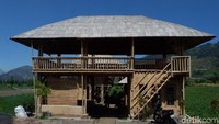 Bangunan homestay ini pun tidak biasa, terbuat dari bambu apus dan petung. Sekelilingnya adalah tanaman kentang (Uje Hartono/detikcom)