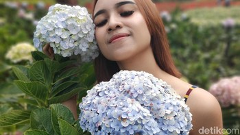 Memanfaatkan fitur zoom, detikINET mencoba 2-6 kali zoom untuk foto model. Foto: Aisyah Kamaliah/detikINET