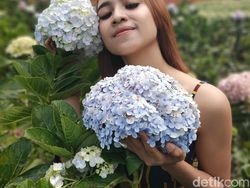 Jepretan Outdoor Cantik dari Kamera Oppo Reno 10x Zoom