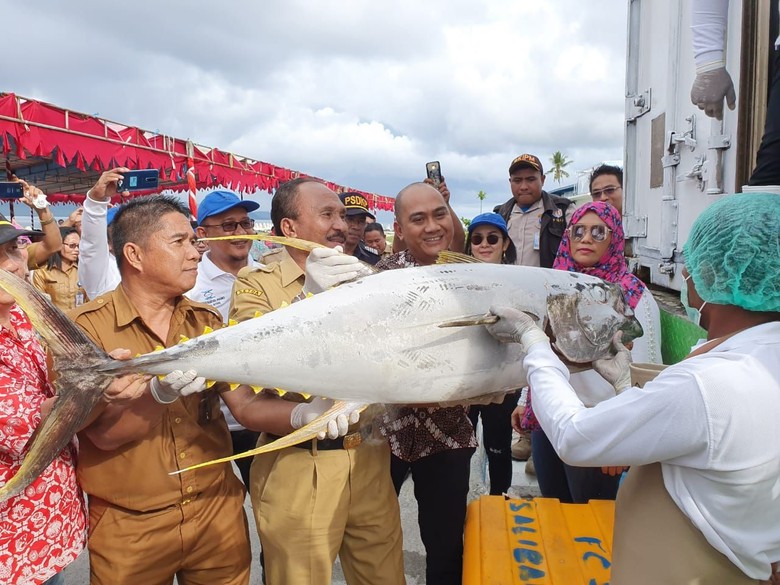 Upaya Kemenhub Optimalkan Tol Laut di Maluku dan Maluku Utara Upaya Kemenhub Optimalkan Tol Laut di Maluku dan Maluku Utara