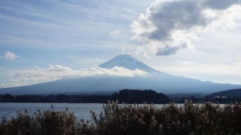 Pendaki Asal Rusia Tewas Tertimpa Batu di Gunung Fuji