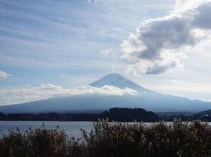 Pendaki Asal Rusia Tewas Tertimpa Batu di Gunung Fuji