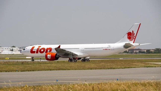 Data Penumpang Lion Air Dikabarkan Bocor, Menengok Tol Japek Layang
