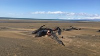 Salah satu wisatawan bernama David Schwarzhans mengatakan ada sekitar 50 ekor bangkai paus pilot yang berada di daratan pantai. Reykjavik Helicopters/via REUTERS.