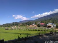 (Abdy/detikcom)