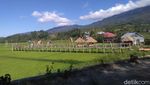 Foto: Mamasa Orchid, Taman Anggrek Cantik di Sulawesi Barat