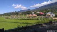 Bukan hanya itu, pengunjung juga bisa membawa pulang bunga anggrek, yang dibandrol dari harga puluhan hingga ratusan ribu rupiah (Abdy/detikcom)