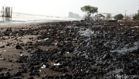 Tumpahan minyak mentah nampak mengotori sejumlah pantai di pesisir utara Kabupaten Karawanng, Senin (22/7/2019).