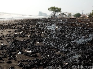 Sejumlah Pantai di Karawang Ditutup Gegara Tercemar Tumpahan Minyak