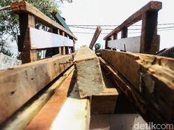 Bisnis Kayu Bekas Pembawa Rejeki