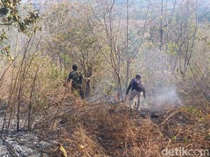 8 Hektar Hutan di Bukit Bentar Probolinggo Terbakar