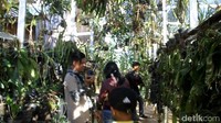 Bagaimana, tertarik ke sini? (Abdy/detikcom)