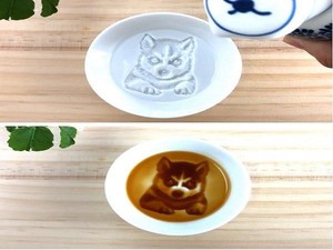 Wouw! Gambar Kucing dan Anjing Muncul Saat Piring Ini Dituangi Kecap