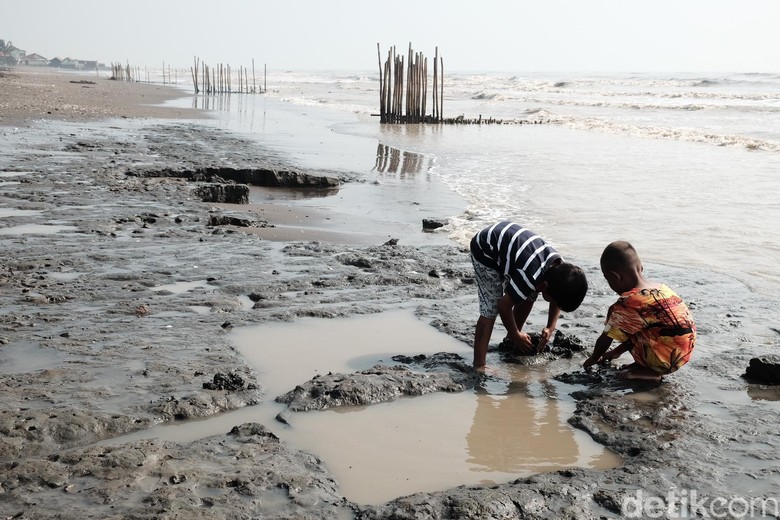 Pesisir Pantai Karawang Menghitam Tercemar Kebocoran Minyak