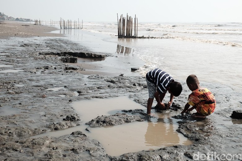 Pesisir Pantai Karawang Menghitam Tercemar Kebocoran Minyak Mentah Pesisir Pantai Karawang Menghitam Tercemar Kebocoran Minyak Mentah