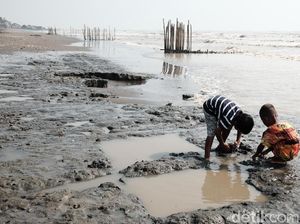 Pesisir Pantai Karawang Menghitam Tercemar Kebocoran Minyak Mentah
