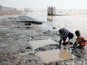 Pesisir Pantai Karawang Menghitam Tercemar Kebocoran Minyak Mentah
