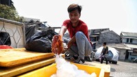 Tak hanya dicari oleh warga, tak sedikit pula para pemilik warung makan dan penjual es batu yang membli air dari para pedagang air bersih keliling.