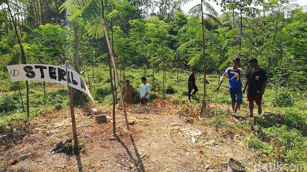 Struktur Bata Diduga Situs Kerajaan Ditemukan di Pasuruan