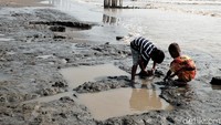 Pantauan detikcom, minyak hitam kental nampak tercecer di Pantai Pisangan, Desa Cemarajaya, Kabupaten Karawang. Bau pekat minyak mentah menyeruak di sekitar pantai hingga tercium warga dan wisatawan yang berenang sejak Minggu 21 Juli kemarin. Sejumlah anak kecil yang sedang berenang kembali ke pantai dan tak meneruskan main air.
