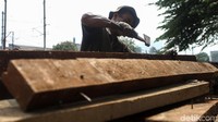 Sebelum dijual, pengepul akan mencabut paku-paku yang menancap pada kayu tersebut.