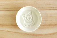 Wouw! Gambar Kucing dan Anjing Muncul Saat Piring Ini Dituangi Kecap 