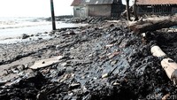tumpahan minyak mentah yang mengotori pantai tersebut berasal dari kilang Pertamina ONWJ.