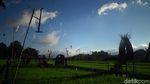 Foto: Mamasa Orchid, Taman Anggrek Cantik di Sulawesi Barat