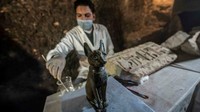 Masyarakat Mesir Kuno menyakini kucing sebagai penjaga arwah orang mati. (AFP)