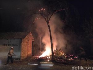 Peternakan di Mojokerto Terbakar, 4 Ribu Ayam Mati Terpanggang