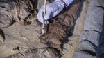 Potret Mumi Kucing, Sang Penjaga Arwah dari Mesir