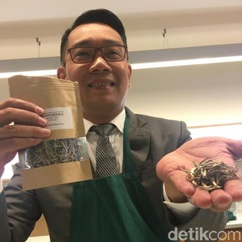 Lawatan Ridwan Kamil ke Inggris: Buru Investor dan Jualan Teh Jabar