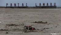 Selama ini, kepedulian Pertamina untuk masyarakat Balikpapan sudah tercermin dalam sejumlah program CSR yang digulirkan seperti Budidaya Kepiting Kariangau, Konservasi Mangrove Margomulyo, Sentra Souvenir Karang Joan Sungai Wain, Sobat Borneo Eco Education, dan Budidaya Lebah Madu.