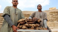 Arkeolog berencana melakukan eksplorasi lebih jauh di kompleks pemakaman di Saqqara. (Reuters)