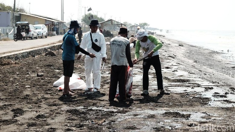 Pertamina Bersihkan Tumpahan Minyak Di Pesisir Pantai Karawang