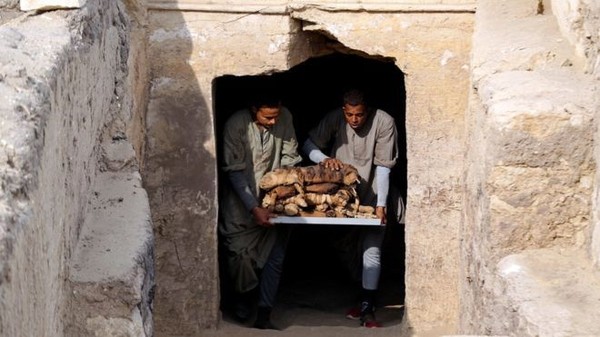 Dari penemuan tersebut ditemukan tujuh sarkofagus di kompleks pemakaman tersebut, tiga diantaranya terdapat mumi kucing di dalamnya. (Reuters)