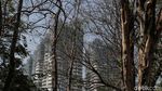 Kemarau! Taman Kemayoran Kekeringan