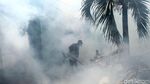 Melihat Aksi Pemburu Nyamuk Penyebab DBD