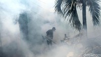 Ia memburu jentik nyamuk yang menjadi penyebab DBD.